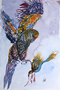 fugle-akvarel